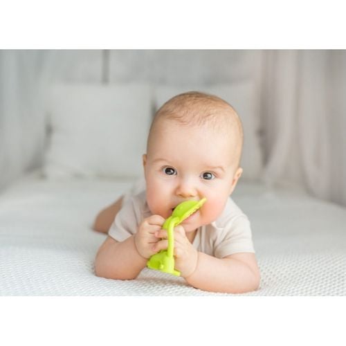 Gryz. usp. słoń limonka DUMEL na Arena.pl