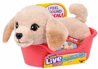 Little Live Pets My Really Real Puppy Mini Buddy Piesek labrador