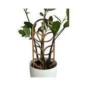 Podpora do roślin w kształcie stylizowanych liści - dekoracyjna i solidna