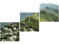 product-compare-58672267