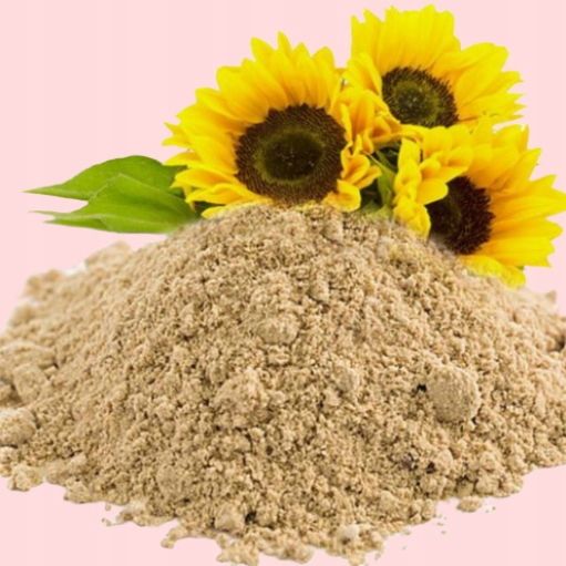 LECYTYNA SŁONECZNIKOWA W PROSZKU 100% czysta BEZ GMO 250G zdjęcie 2