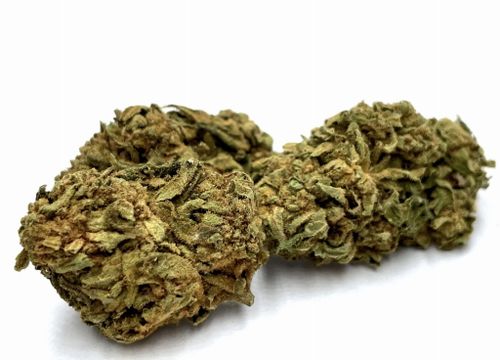 Susz konopny CBD | SUPER SILVER HAZE | 5 g na Arena.pl