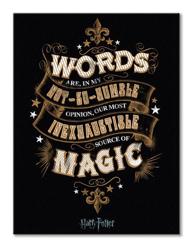 Harry Potter Words - obraz na płótnie 60x80 cm na Arena.pl
