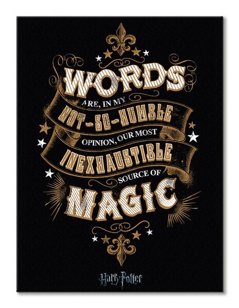 Harry Potter Words - obraz na płótnie 60x80 cm zdjęcie 2