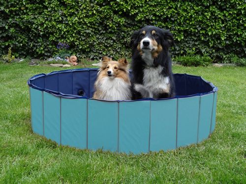 Basen dla psów kotów kojec składany 120x30 cm na Arena.pl