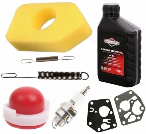 BRIGGS OLEJ MEMBRANY FILTR POMPKA SPRĘŻYNY ŚWIECA zdjęcie 1