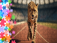 Puzzle tradycyjne Zwierzęta - Gepard