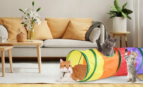 ZABAWKA TUNEL DLA KOTA SZELESZCZĄCY DŁUGI TUNEL DLA KOTA Z ZABAWKAMI XXL na Arena.pl