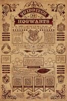 Harry Potter Quidditch At Hogwarts - plakat 61x91,5 cm