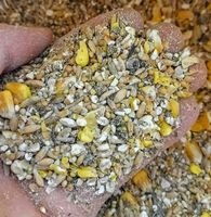 PASZA DLA KUR NIOSEK 25KG NATURALNA KARMA MIESZANKA BEZ GMO SYPKA ZIARNO