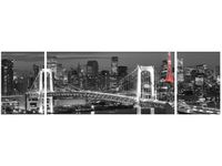 90CM 80 OBRAZ 3 ELEM TOKYO MOST TĘCZOWY ŚCIENNY