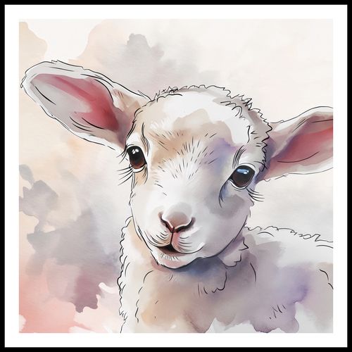 Plakat 100x100cm Mała Owieczka na Arena.pl