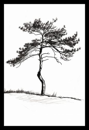 Plakat 20x30cm Samotna Sosna na Arena.pl