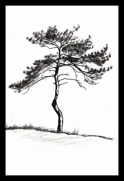 Plakat 20x30cm Samotna Sosna zdjęcie 2