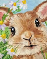 Obraz do MALOWANIA PO NUMERACH Na Ramie Królik Zestaw Po Numerach ARTNAPI