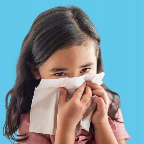 CHUSTECZKI HIGIENICZNE Alice 12x 100 sztuk 2W CELULOZA WYCIĄGANE W PUDEŁKU na Arena.pl