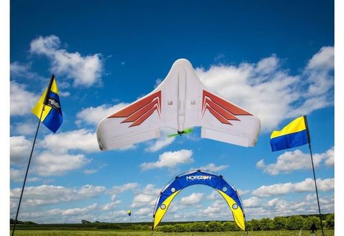 Blade Theory Type W ARF na Arena.pl