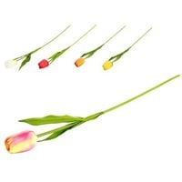 product-compare-64460354