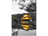 100 70CM OBRAZ PŁÓTNO DOM BONZAI MITH HUANG PŁÓTNO RAMA