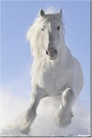 100 70CM OBRAZ PŁÓTNO BLACK&WHITE PŁÓTNO RAMA