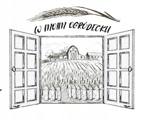 Całe ziele owsa MEGA PAKA - owies 500g wMoimOgródecku na Arena.pl