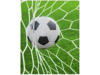 40X50CM PIŁKA BRAMCE OBRAZ