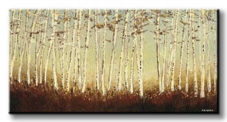 Silver Birch Trees - Obraz na płótnie 100x50 cm na Arena.pl