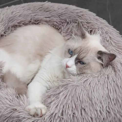 LEGOWISKO PLUSZOWE DLA PSA KOTA posłanie kojec PODUSZKA okrągłe MERSJO na Arena.pl