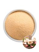 Czosnek suszony granulowany mielony w proszku drobny bez konserwantów do marynat sosów jogurtu 200g