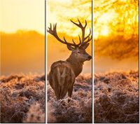 product-compare-58702830