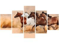 OBRAZ KONIE BIEGNĄCE GALOPEM