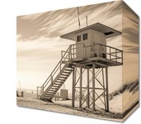 Obraz 20x20cm Strażnik Wydm