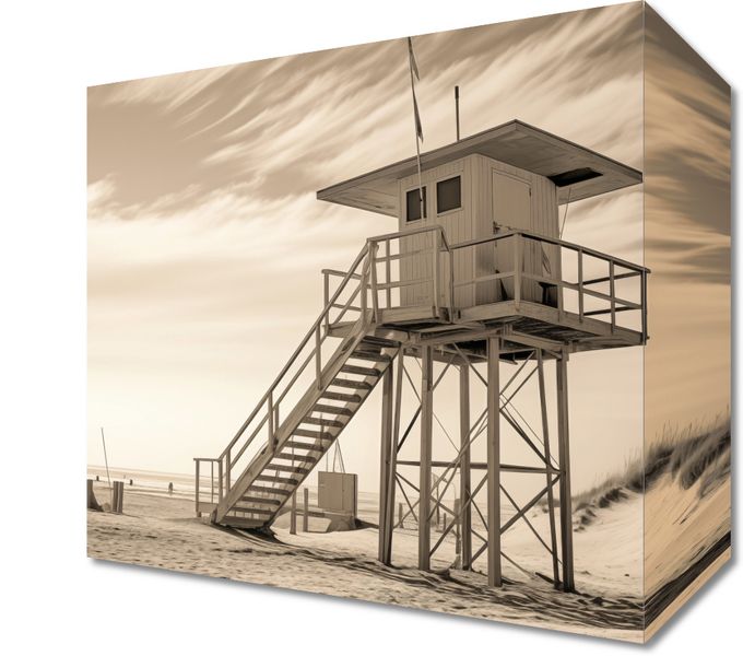 Obraz 20x20cm Strażnik Wydm zdjęcie 1