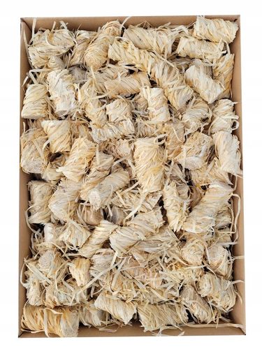 PODPAŁKA ROZPAŁKA DO KOMINKA PIECA GRILLA 2kg + *GRATIS* EKOLOGICZNA na Arena.pl