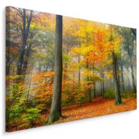 Obraz Canvas Do Salonu Jesienny Las Pejzaż Natura Rośliny 40cm x 30cm