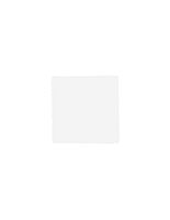 SERWETKI GASTRONOMICZNE ZĄBKI 15X15 200 SZTUK