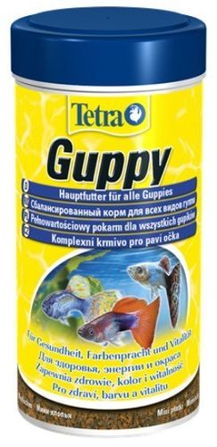 Tetra Guppy 100Ml na Arena.pl