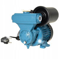 POMPA WZCH 100 Z WBUDOWANYM HYDROFOREM 1L IBO