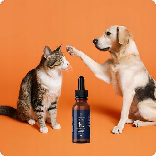 Olejek CBD 5% | Dla Psa | Dla Kota 500mg 11ml | Weterynaryjny | BEZ THC na Arena.pl