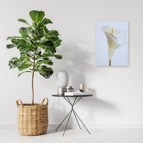 Deco Panel, Kwiat na białym tle 40x50 na Arena.pl