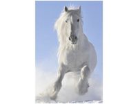 40X60CM BLACK&WHITE OBRAZ