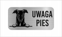 GRAWER Tabliczka nierdzewna laminat 20x10 UWAGA PIES pies australijski