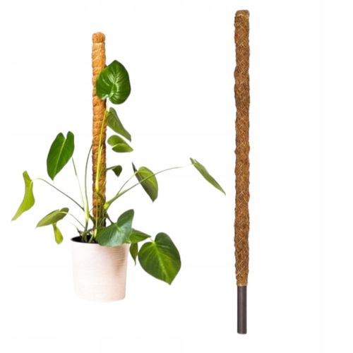Podpora Palik Kokosowy 100cm (1M) Tyczka do Monstery Kwiatów Roślin na Arena.pl