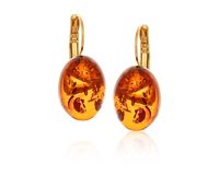 kolczyki z bursztynem z kolekcji amber (p24/tyn/01au)