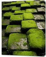 Obraz 70x90cm Zielona Mozaika