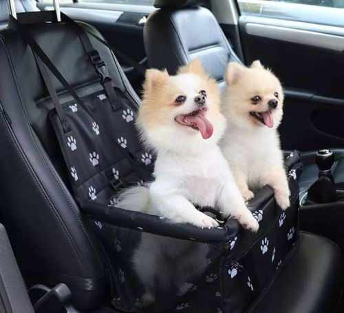 MATA TRANSPORTER DLA PSA FOTELIK DO SAMOCHODU na Arena.pl