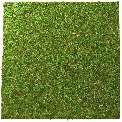 Repti-Zoo Natural Moss Back&Bottom - tło i podłoże z mchu 45x45cm na Arena.pl