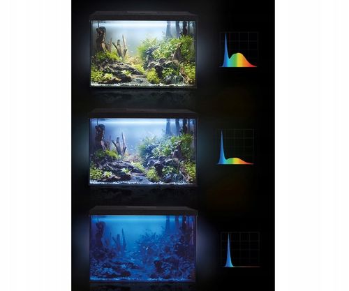 Zestaw 72l z oś AQUAEL LEDDY DZIEŃ I NOC wyposażen na Arena.pl