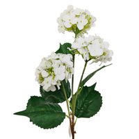 Hortensja x3 gumowana biała