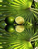 FOTOTAPETA do kuchni kawa przyprawy jedzenie TANIE